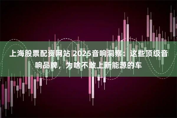 上海股票配资网站 2025音响洞察：这些顶级音响品牌，为啥不敢上新能源的车